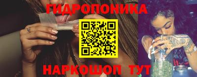 ешки Дубна