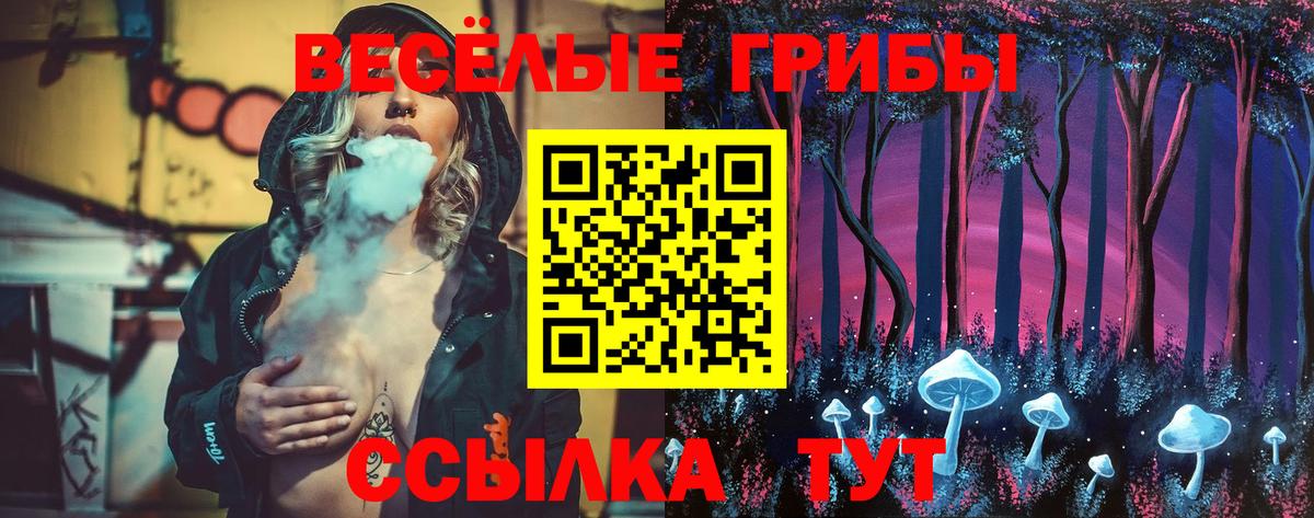 Галлюциногенные грибы Psilocybine cubensis Краснознаменск
